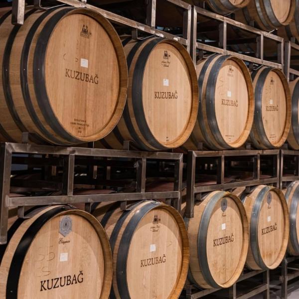 Çal Bağ Yolu ve Pamukkale Kültür Turu 