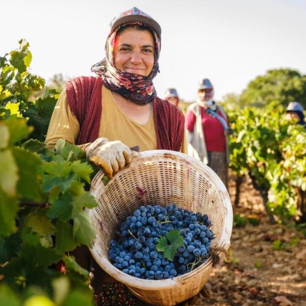 Çal Bağ Yolu ve Pamukkale Kültür Turu 