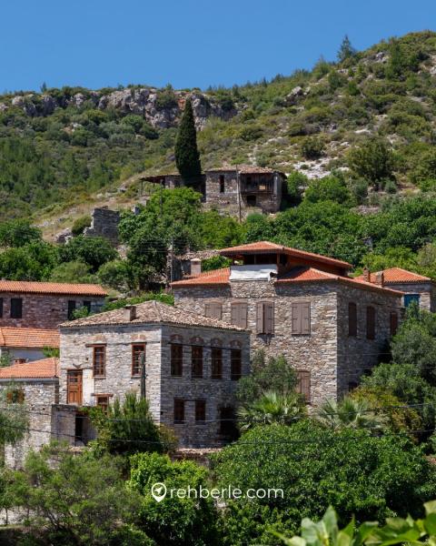 Priene - Domatia - Karina - Lucien Arkas Bağları