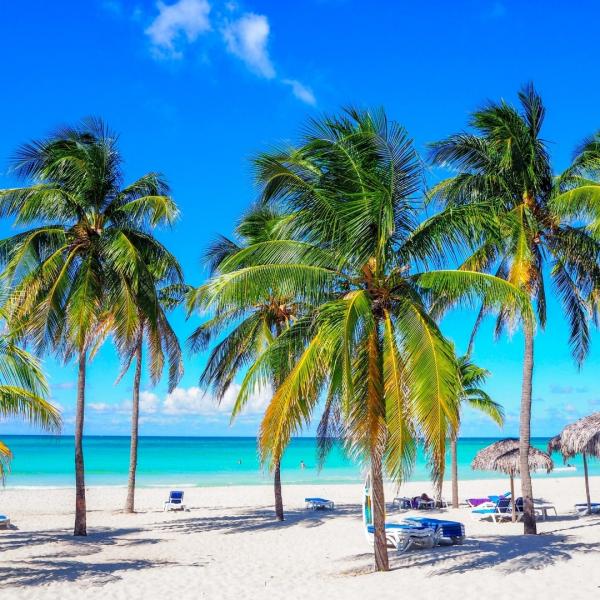 Ritmin ve Renklerin Adası Küba