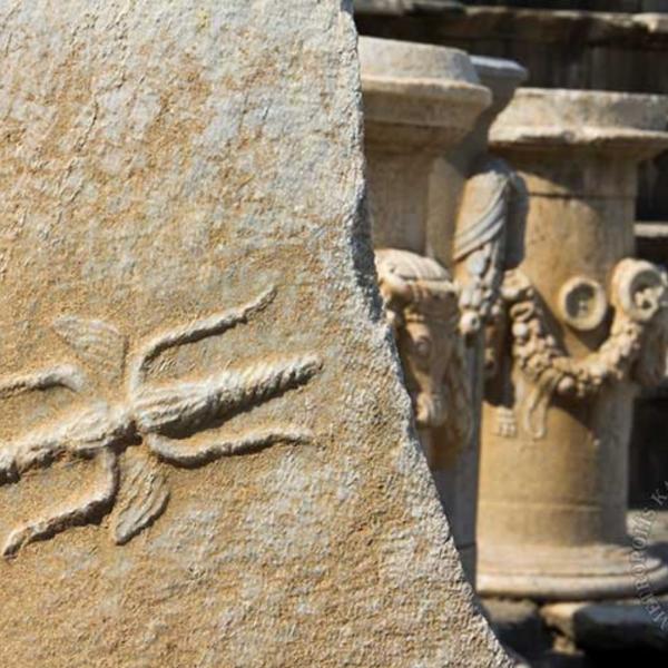 Metropolis’ten Bağların Kalbine: Lezzet ve Tarih Yolculuğu