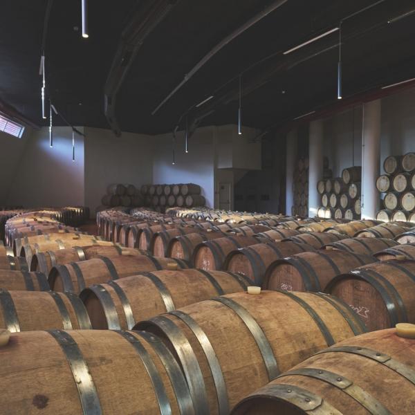 Lidya Antik Bağ Rotası Şarapları Tadımı