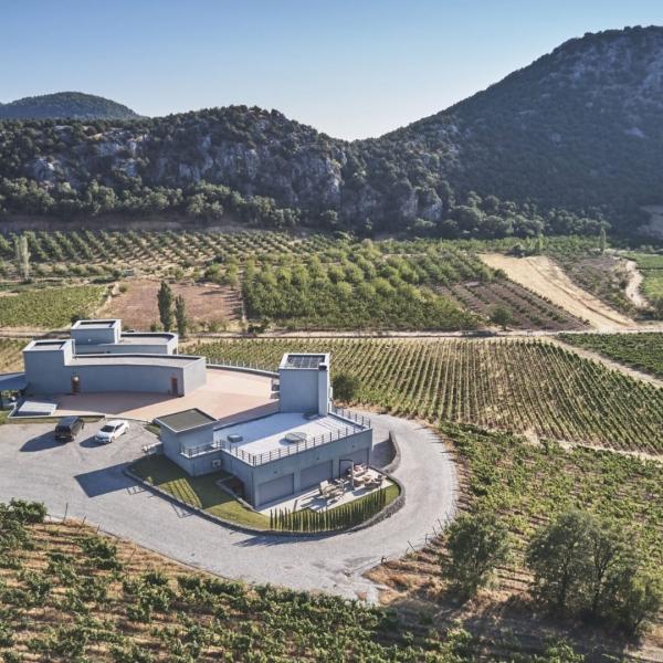 Lidya Antik Bağ Rotası Şarapları Tadımı