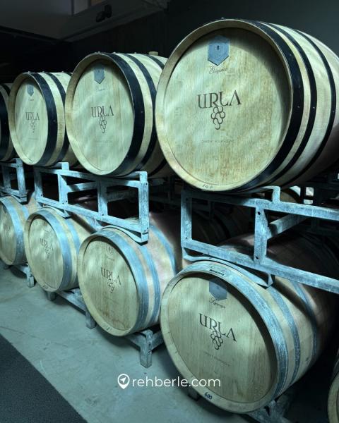 Urla Kültür ve Lezzet Turu