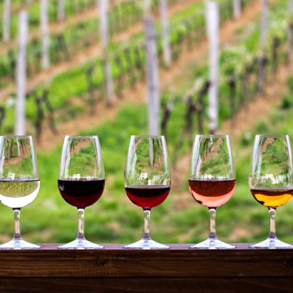 İstanbul Wine Tasting Club ile “URLA SANAT & BAĞ ROTASI”