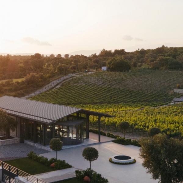 İstanbul Wine Tasting Club ile “URLA SANAT & BAĞ ROTASI”