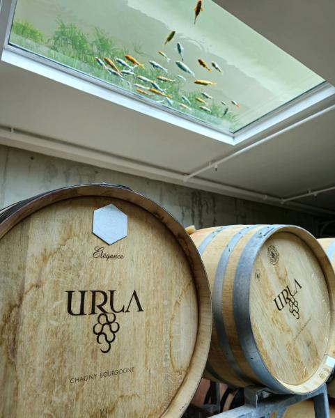 İstanbul Wine Tasting Club ile “URLA SANAT & BAĞ ROTASI”