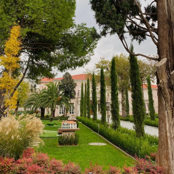 Bornova Misketi İzinde: Şarap Tadımı ve Yemek Eşleşmesi