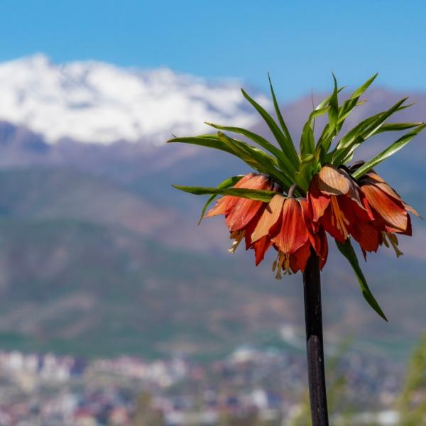 Efsanelerin İzinde: Van, Hakkari, Şırnak
