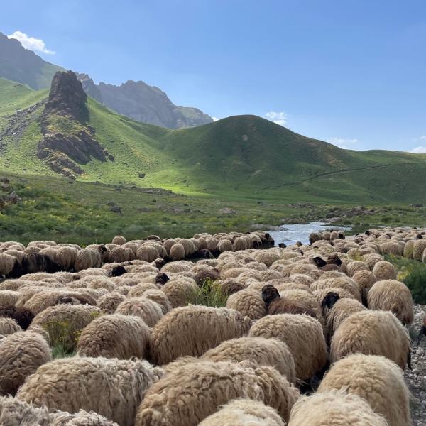 Efsanelerin İzinde: Van, Hakkari, Şırnak