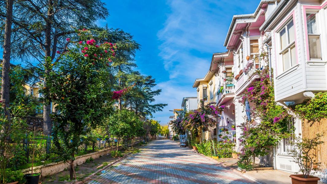 Günübirlik İstanbul Adalar Turu - Ankara Çıkışlı