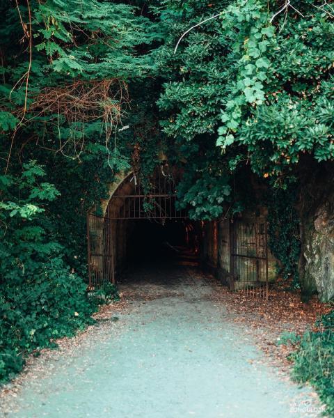Günübirlik Zonguldak Karaelmas Turu - Ankara Çıkışlı