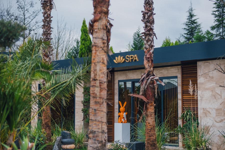 Sapanca Visa Tiny House