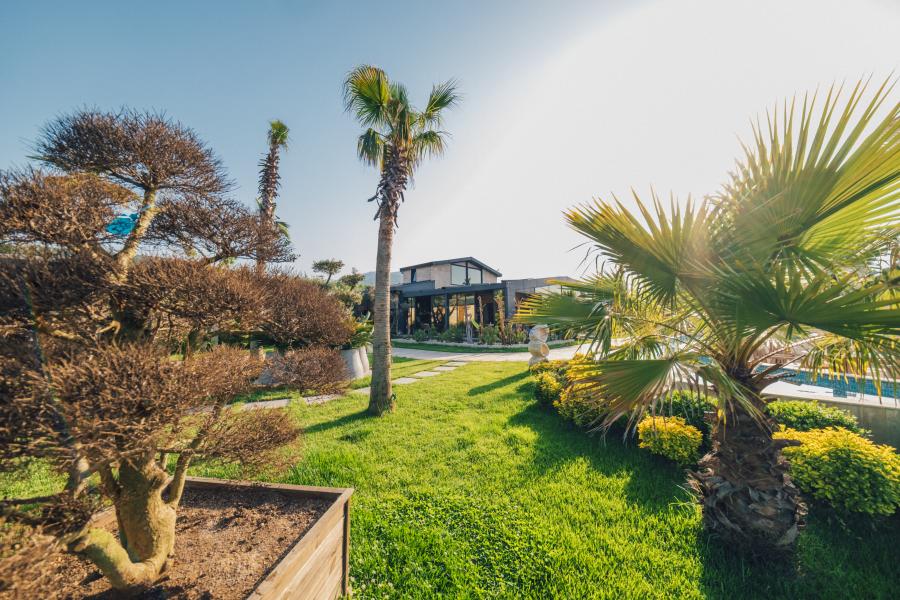 Sapanca Visa Tiny House