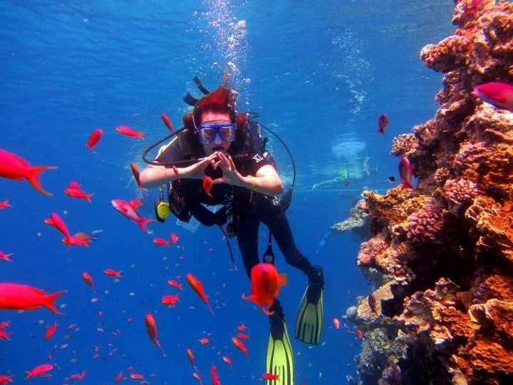 Van Çıkışlı Kahire & Sharm El Sheikh Turu | 4 Gece 5 Gün