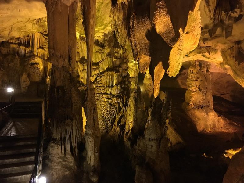 Günübirlik İğneada Dupnisa Mağarası Longoz Ormanları Turu