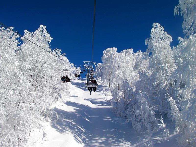 Günübirlik Kartepe Maşukiye Turu