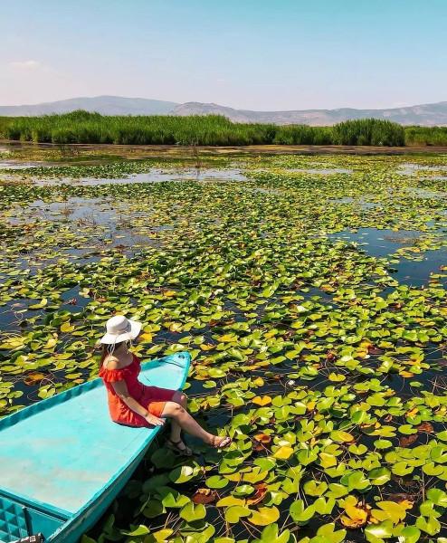 Gül Hasadı Turu | 1 Gece Otel Konaklamalı