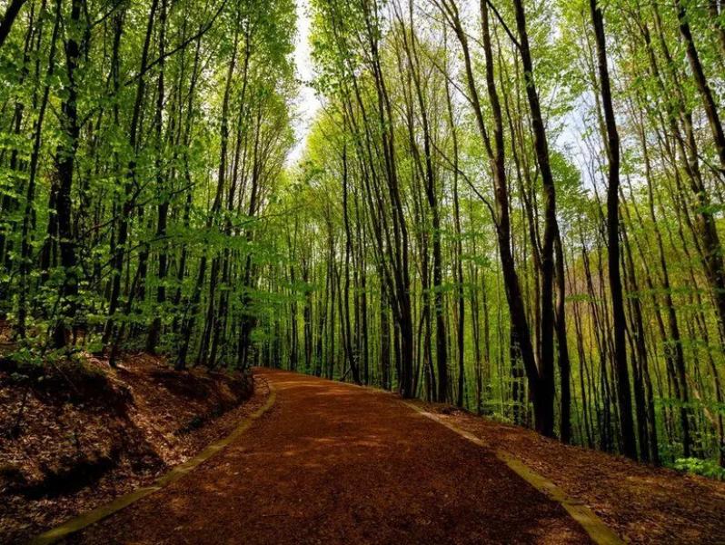 Şile – Ağva – Saklıgöl Turu Doğanın Kalbine Günübirlik Yolculuk