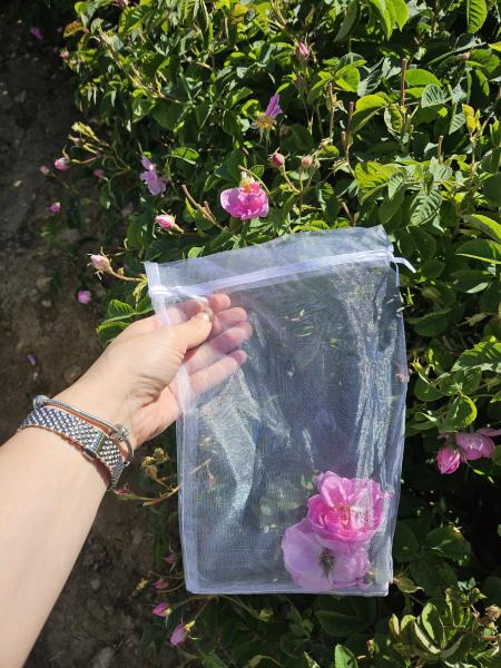 Isparta Eğirdir Salda Pamukkale Turu (Gül Hasadı) 