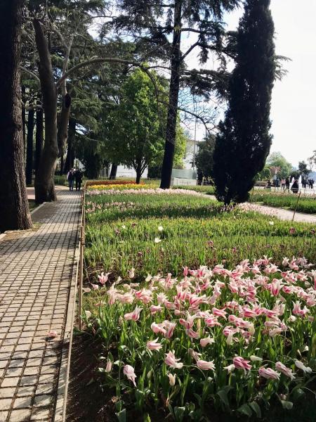 İstanbul Lale Zamanı Turu  (Hızlı Trenle)