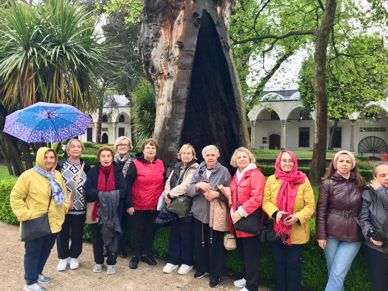 İstanbul Lale Zamanı Turu  (Hızlı Trenle)
