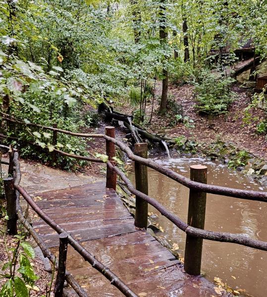 Ormanya Maşukiye Sapanca Turu (Hızlı Trenle)