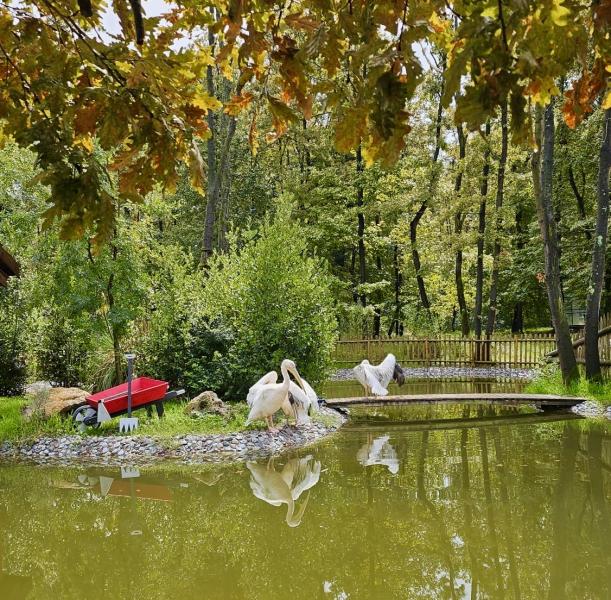 Ormanya Maşukiye Sapanca Turu (Hızlı Trenle)