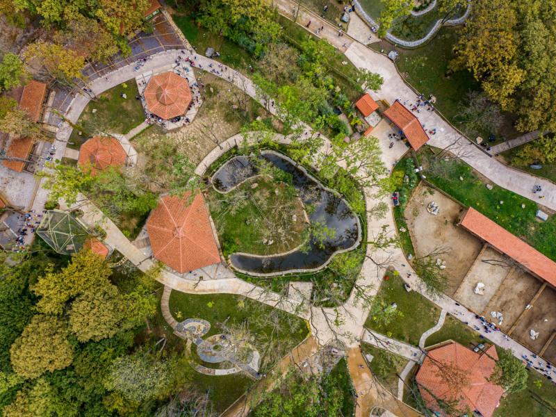 Ormanya Maşukiye Sapanca Turu