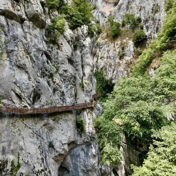 Sinop Erfelek Horma Kastamonu Turu