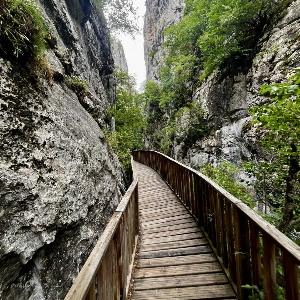 Sinop Erfelek Horma Kastamonu Turu