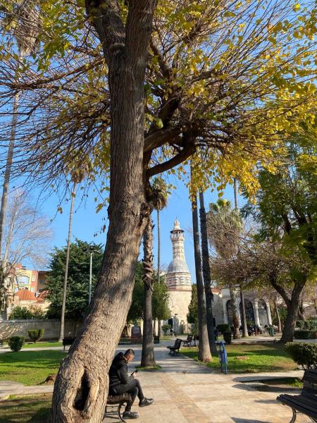Gastronomi Şehirleri Turu (Gaziantep Hatay Adana)