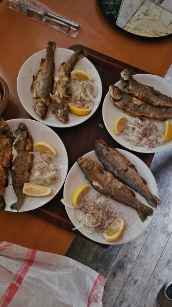 Doğal Karadeniz Turu (Uçaklı) !Şeffaf Fiyatlı &Komisyonsuz!