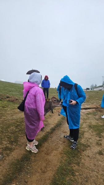 Doğal Karadeniz Turu (Uçaklı) !Şeffaf Fiyatlı &Komisyonsuz!