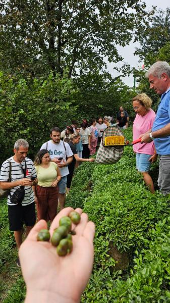 Doğal Karadeniz Turu (Uçaklı) !Şeffaf Fiyatlı &Komisyonsuz!
