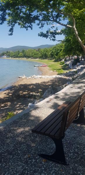 Doğal Karadeniz Turu (Uçaklı) !Şeffaf Fiyatlı &Komisyonsuz!