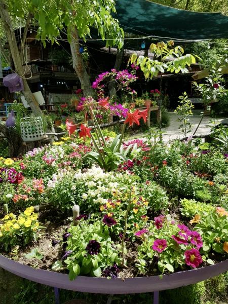 Birgi Kuşadası Alaçatı Sığacık İzmir Turu