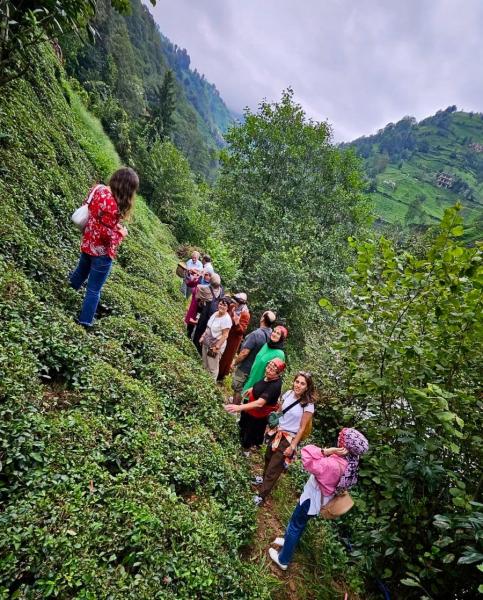 Doğal Karadeniz Turu 