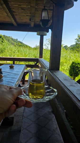 Doğal Karadeniz Turu  !Şeffaf Fiyatlı & Komisyonsuz!
