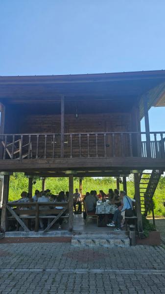 Doğal Karadeniz Turu  !Şeffaf Fiyatlı & Komisyonsuz!