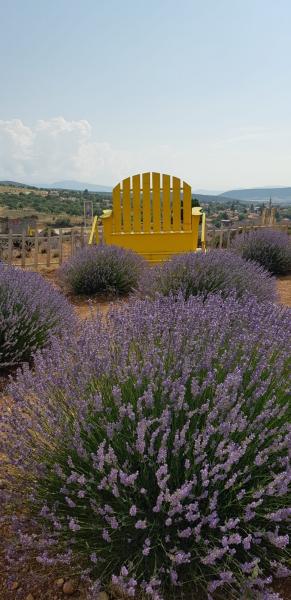 Isparta Eğirdir Salda Turu ( Lavanta Bahçeleri )