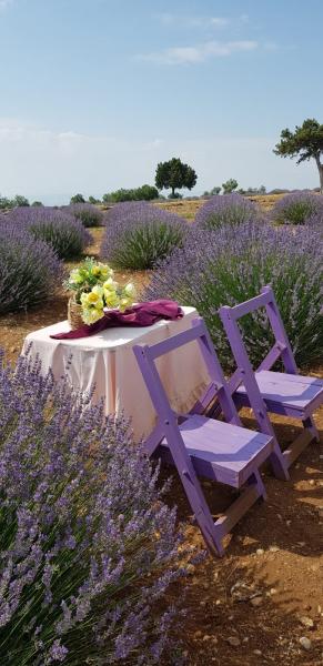 Isparta Eğirdir Salda Turu ( Lavanta Bahçeleri )