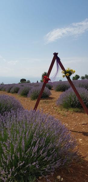Isparta Eğirdir Salda Turu ( Lavanta Bahçeleri )