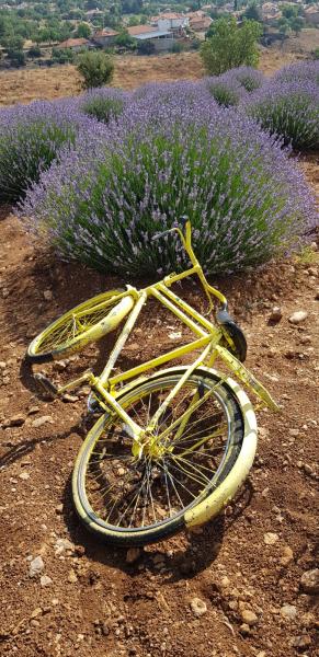 Isparta Eğirdir Salda Turu ( Lavanta Bahçeleri )