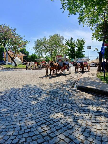 Edirne Kakava Hıdrellez Şenlikleri Turu