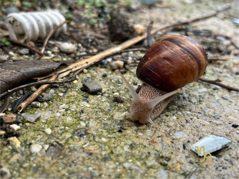 İznik Bursa Gölyazı Mudanya Turu