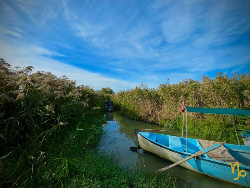 İznik Bursa Gölyazı Mudanya Turu