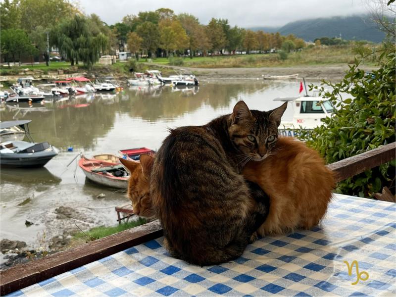 İznik Bursa Gölyazı Mudanya Turu