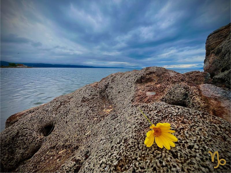 İznik Bursa Gölyazı Mudanya Turu