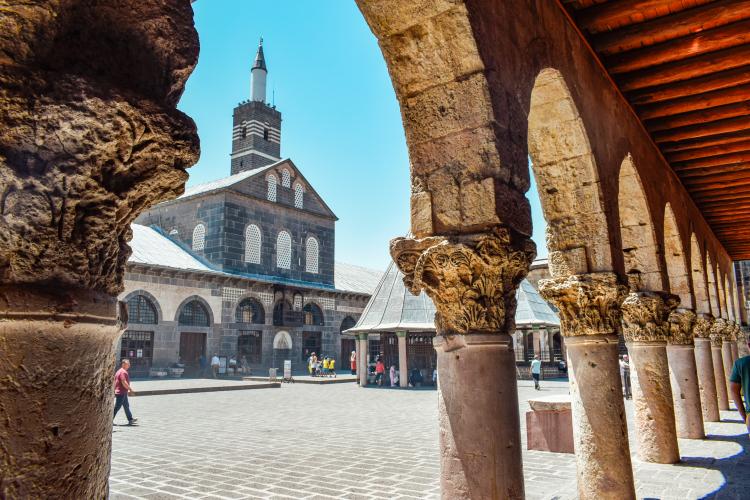 GAP TURU (Kış Dönemi)